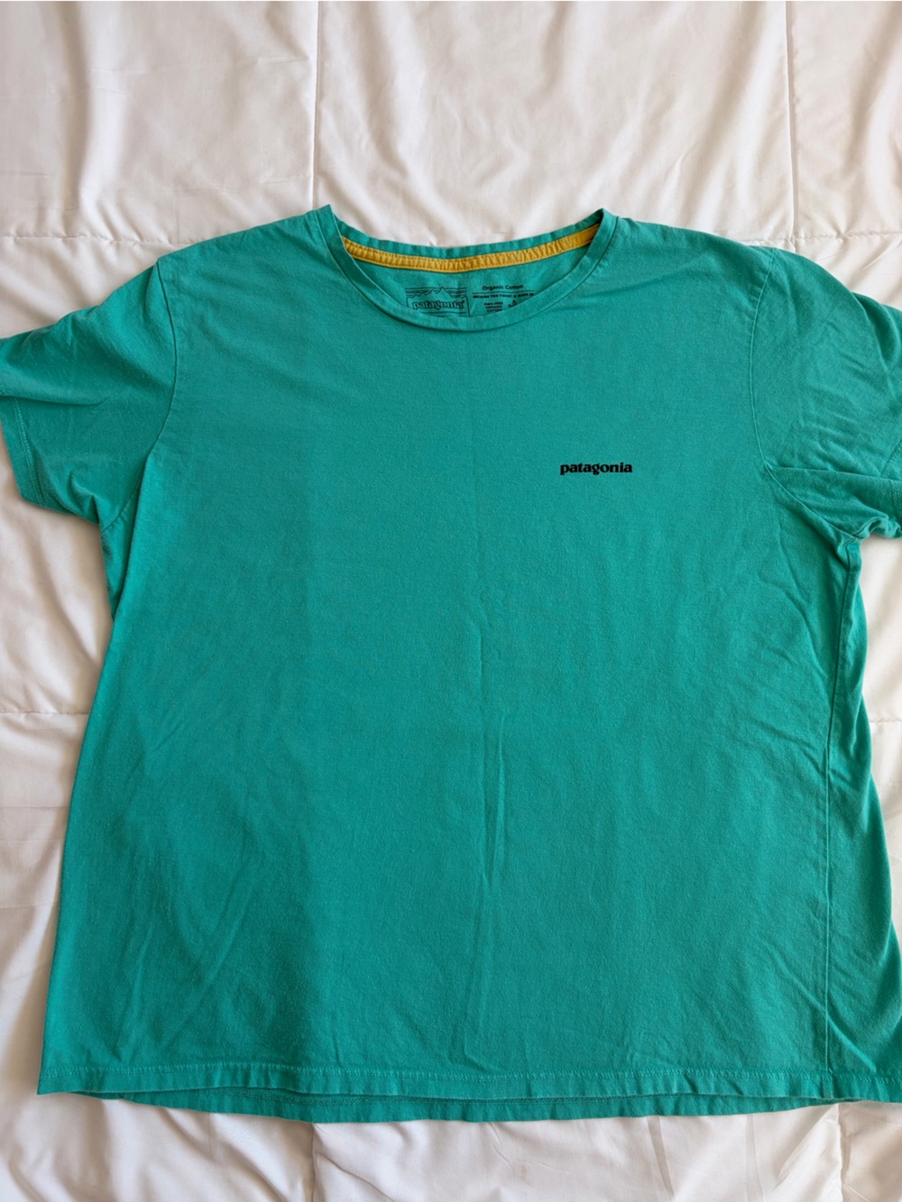 Patagonia Women’s Teal Short-Sleeve Logo Tee